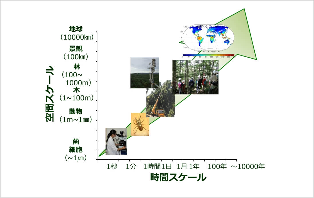 森林を総合的に理解するための枠組み