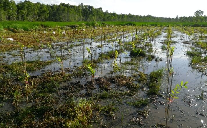 附属アジア生物資源環境研究センター